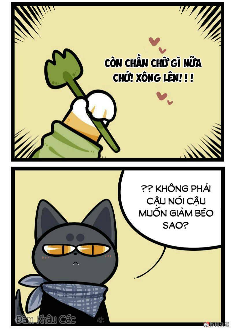đời không như mình tưởng chapter 61 8