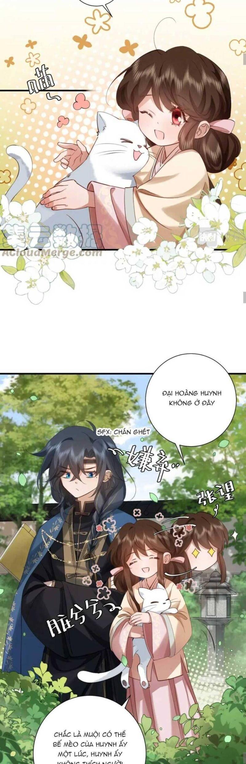 phương thức sinh tồn của công chúa pháo hôi chapter 129 19