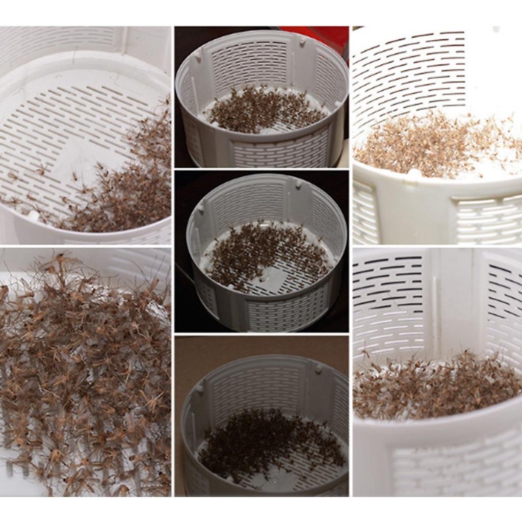 Đèn Bắt Muỗi Có Quạt Hút Mosquito Killing