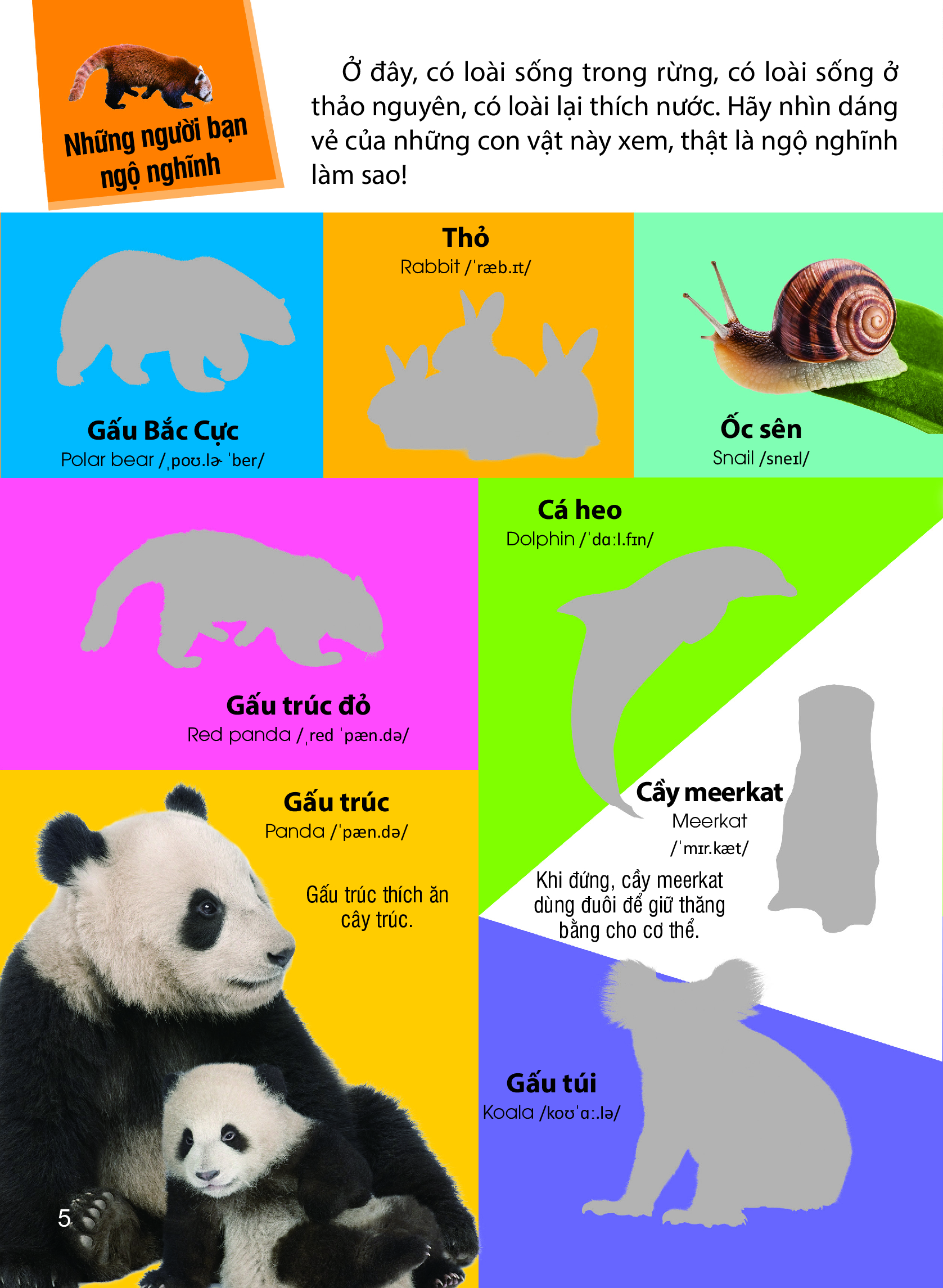 Dán Hình Nhận Biết Động Vật - Những Loài Vật Dễ Thương