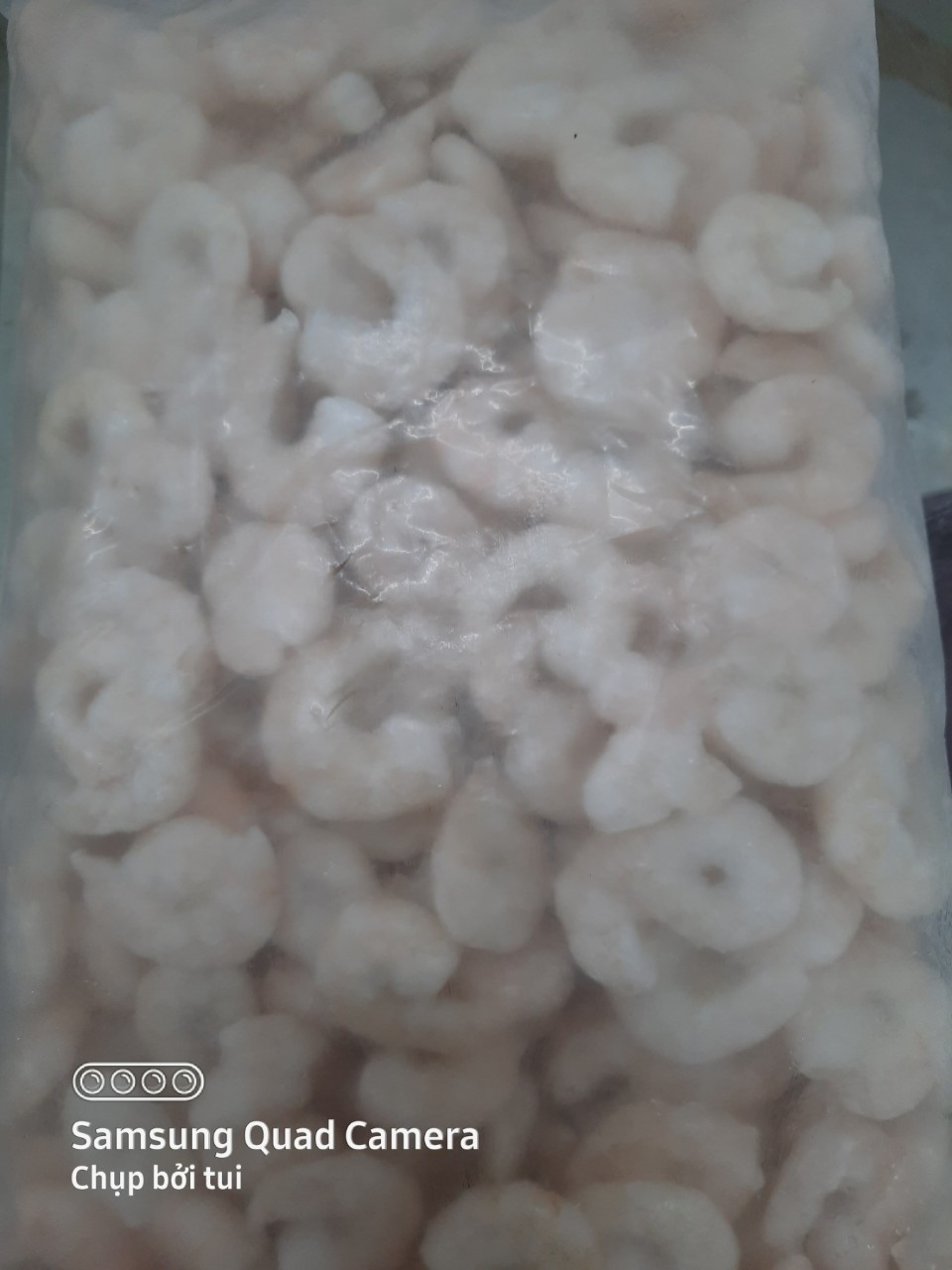 TÔM LỘT THỊT - 1KG -SIZE 41/50