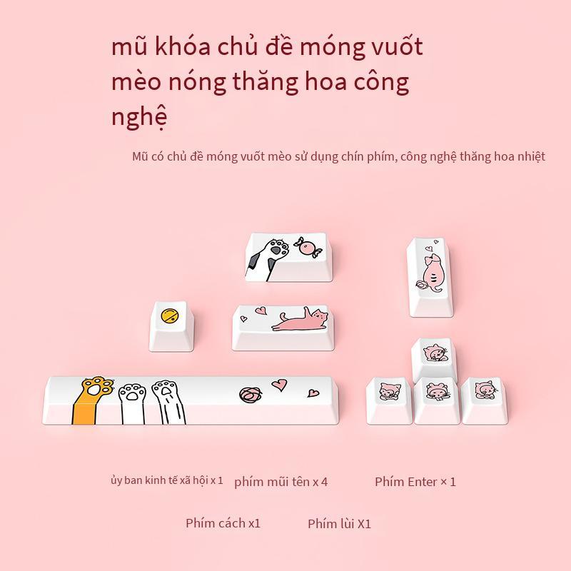 Giá Đặc Biệt Wrangler Đôi Phối Màu Chủ Đề Mèo Dễ Thương Bàn Phím Cơ Laptop Văn Phòng Dễ Thương Hoa Anh Đào Hồng Bàn Phím Cơ