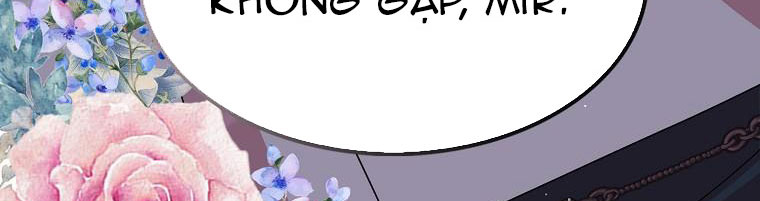 tôi sẽ cố gắng bảo vệ em gái chapter 28.2 37