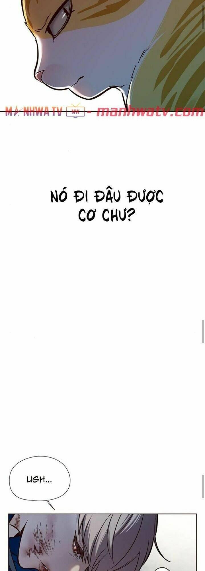 biến thân thành mèo chapter 125 69