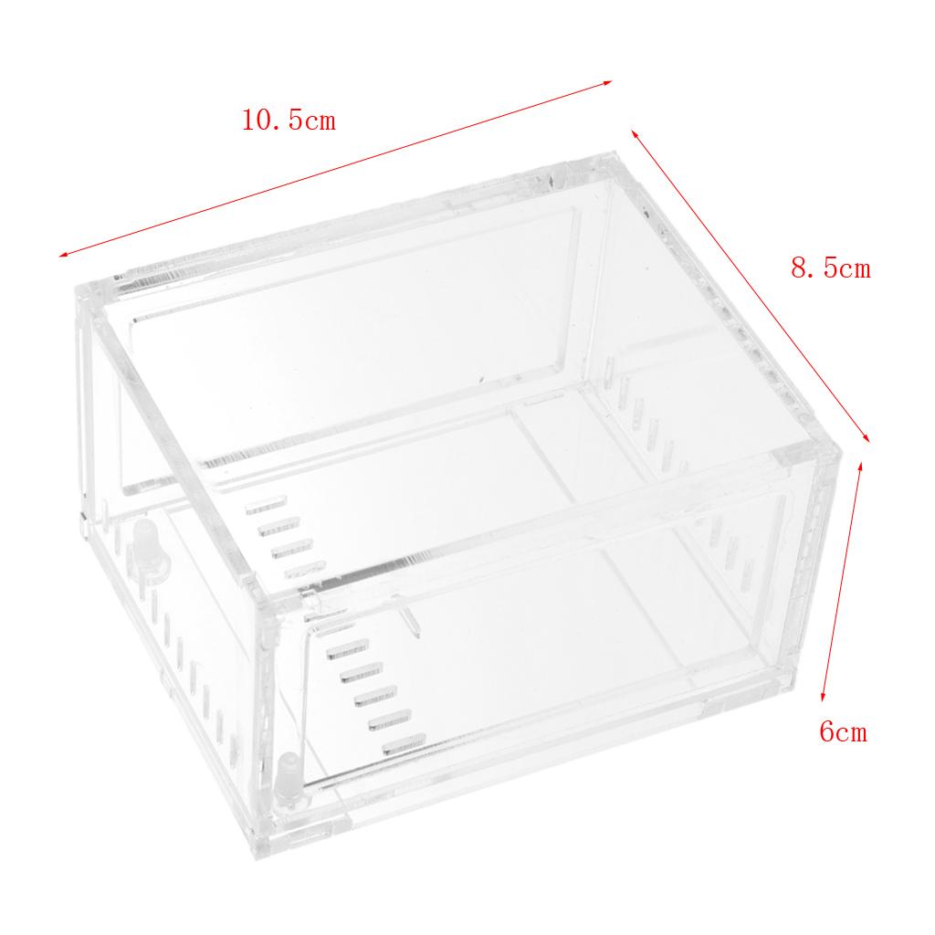 Clear Terrarium Box Reptile & Amphibian Breeding Box for Snake Lizard Turtle