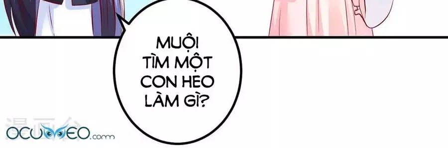 từ đây vương gia không thượng triều sớm chapter 80 13