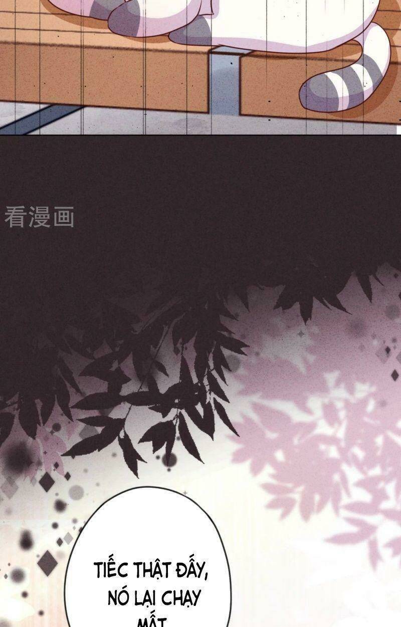 thiếu soái, vợ anh muốn lật trời! chapter 140 39