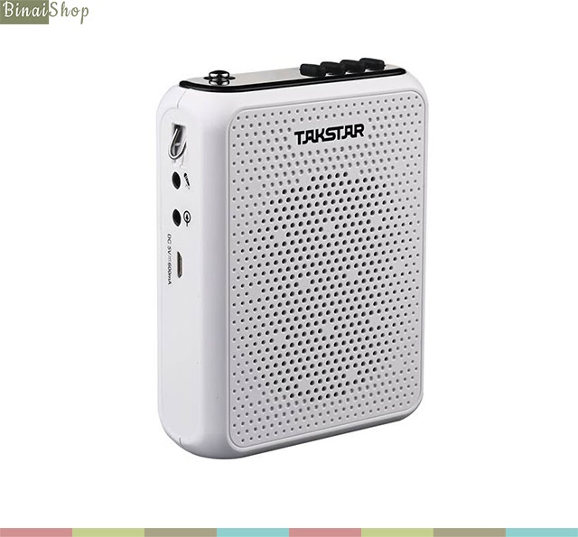 Takstar E300W