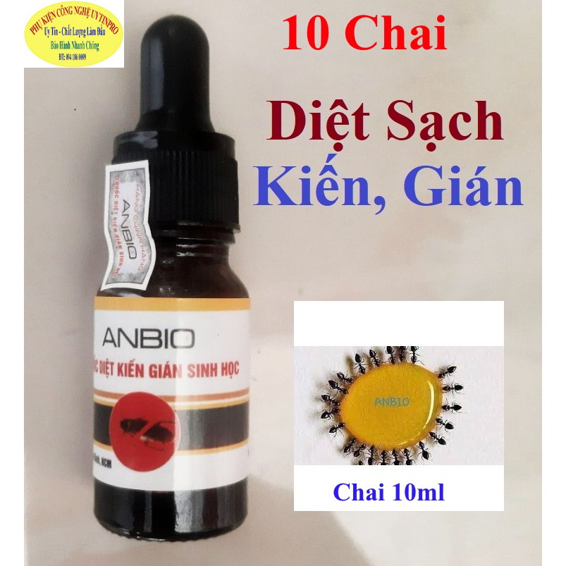 10 CHAI DIỆT KIẾN GIÁN Sinh Học ANBIO Chai 10ml Xuất xứ Việt Nam