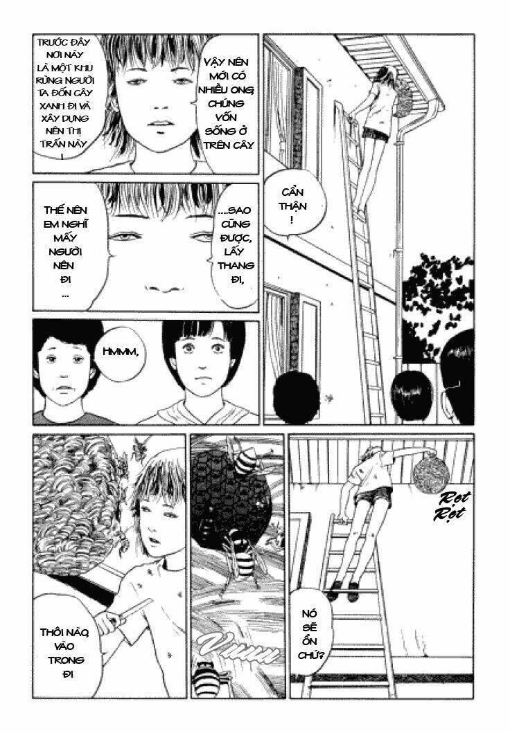 tuyển tập truyện ngắn kinh dị của ito junji chapter 3.3 13