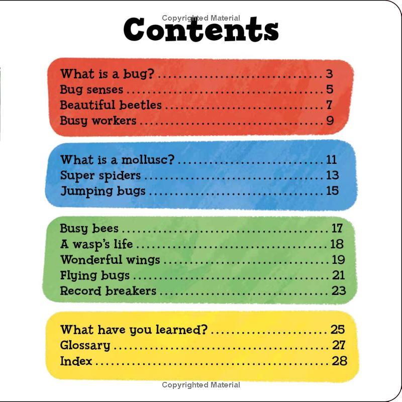 Sách ngoại văn: Priddy Explorers Bugs & Slugs