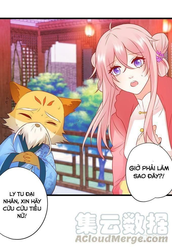 hồ tiên hung bạo chapter 63 58