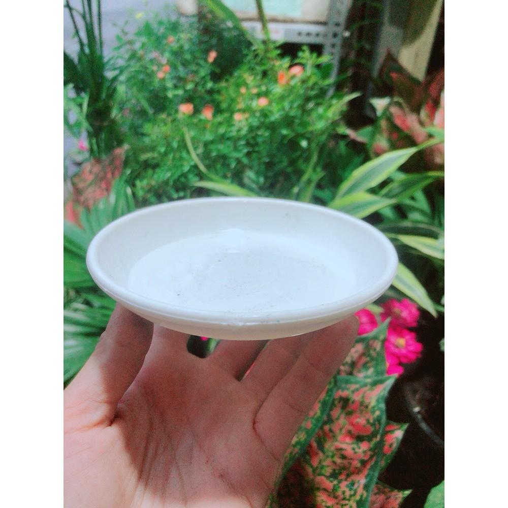 Đĩa Lót Chậu