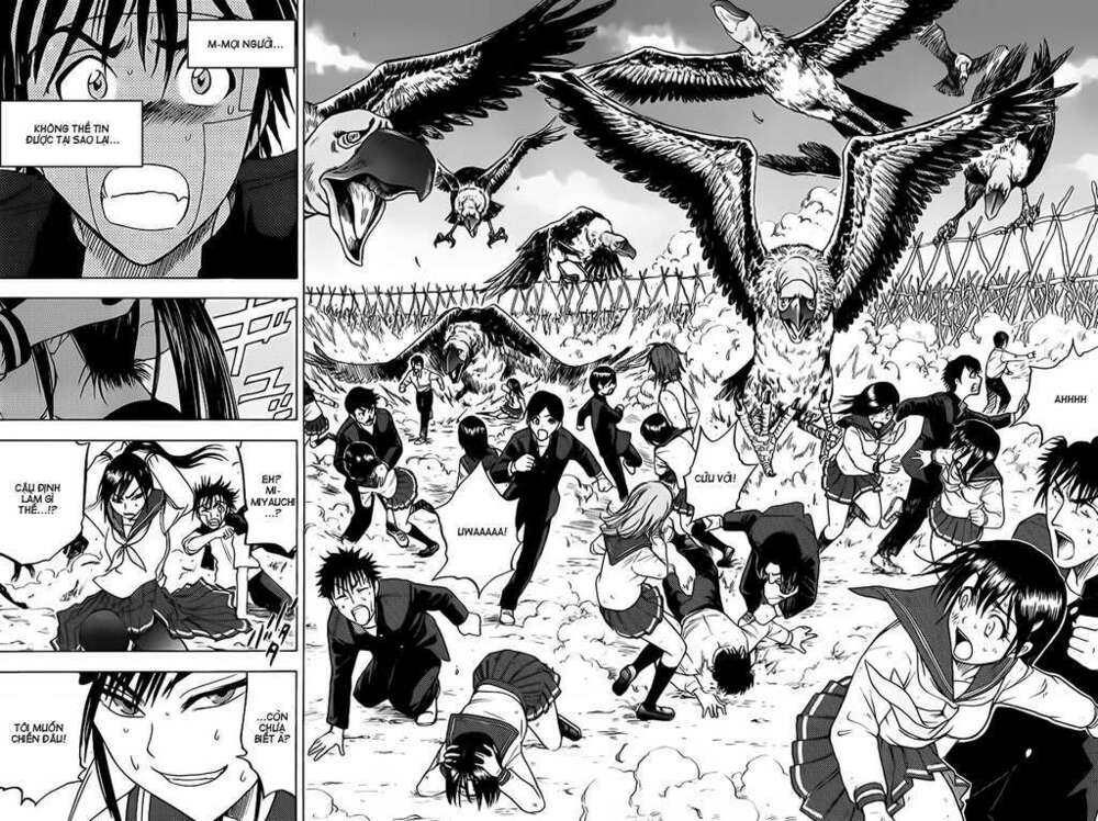 cage of eden chapter 49 13