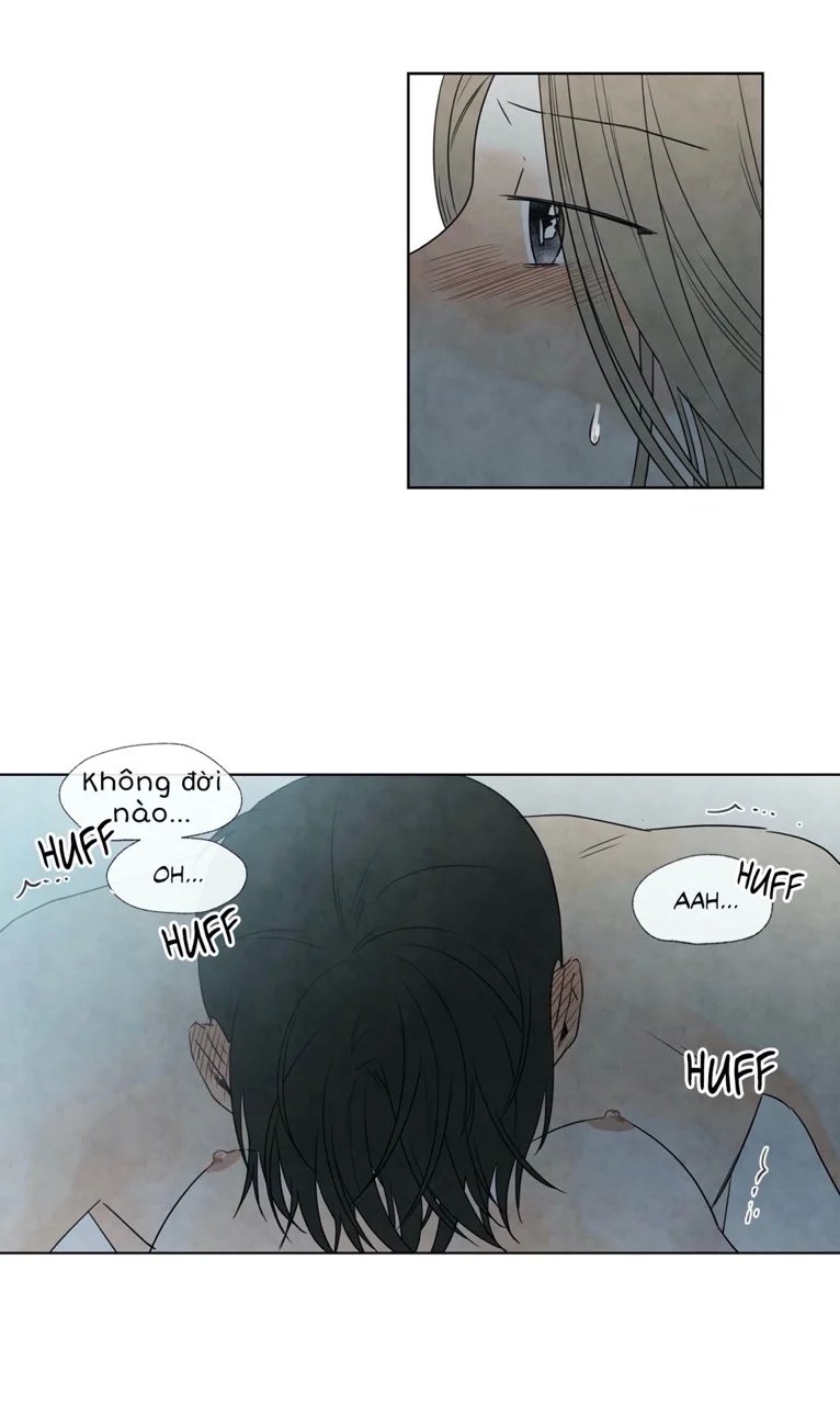 summer solstice point chapter 6 39