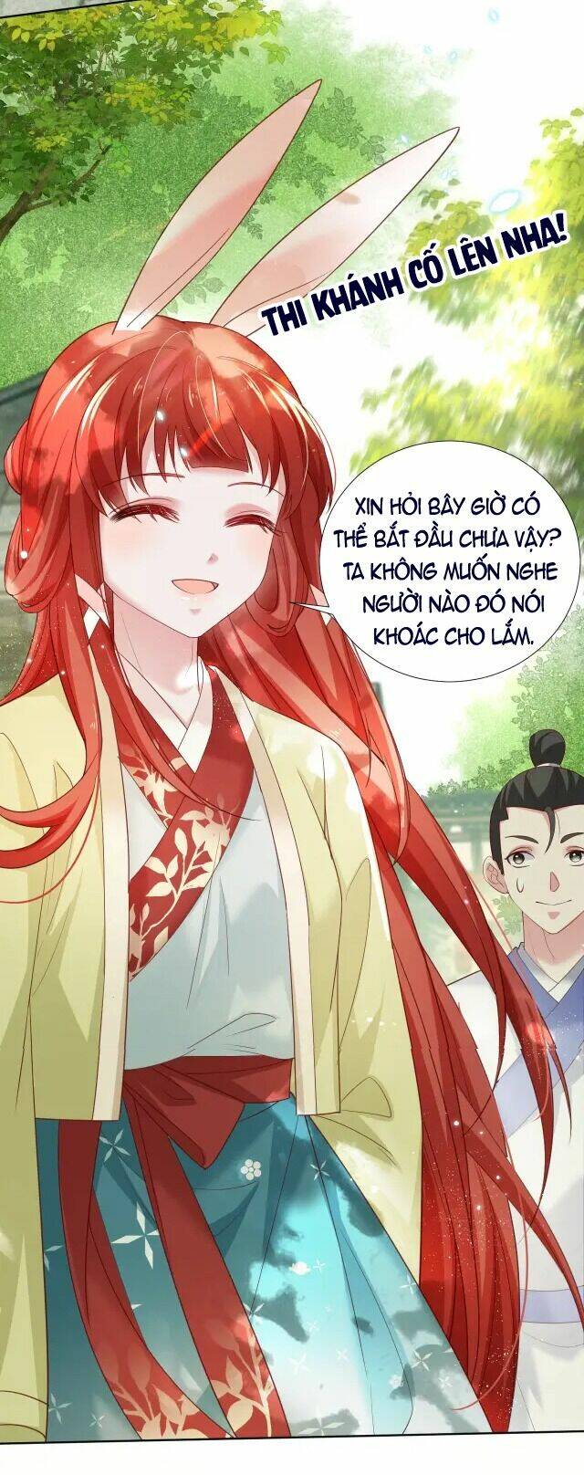 hắc hóa nam chính trực tuyến nuôi thỏ chapter 49 17