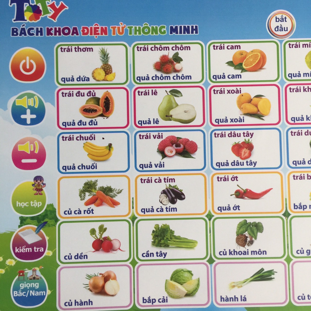 Bách khoa điện tử 15 in 1 LB03