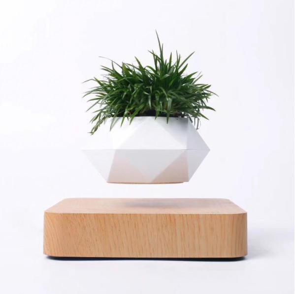 Chậu Cây Bay BonSai Zero W Design thế hệ mới