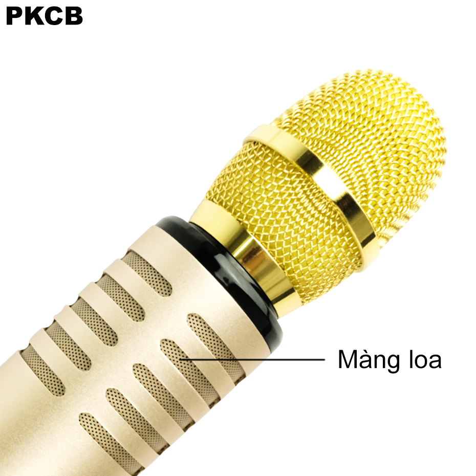 Micro Karaoke Bluetooth cao cấp âm thanh chuẩn HD Bass Treb sống động PKCB14 ROSE GOLD - Hàng Chính Hãng