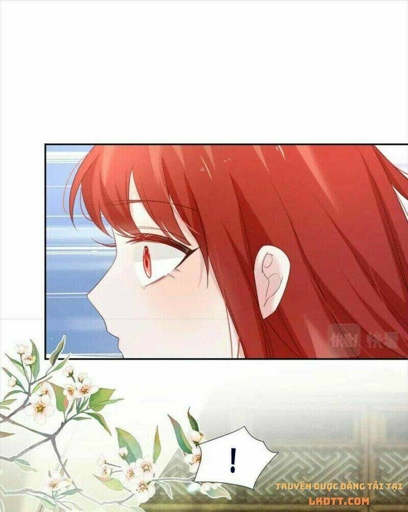 hắc hóa nam chính trực tuyến nuôi thỏ chapter 60 13