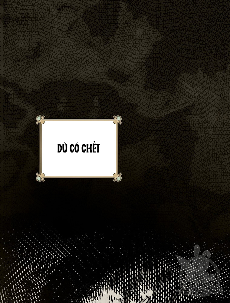 quý cô bí ẩn - secret lady chapter 48 96