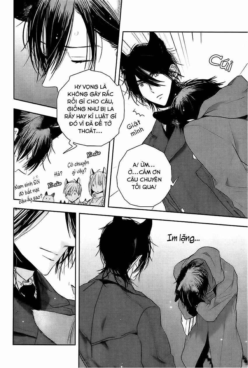 sói đen và cáo bạc chapter 2 16