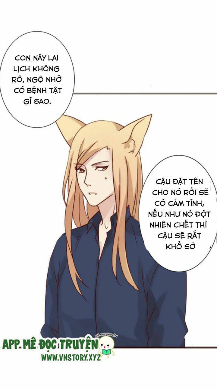 hồ tiên này không tin được chapter 9 16