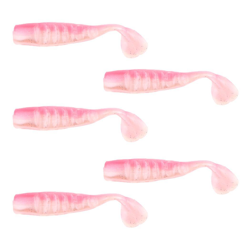 5 Pieces Floating Fishing Lures Bait Rainbow Fish Lures Fishing Bait Fishing Tools Swim Baits
