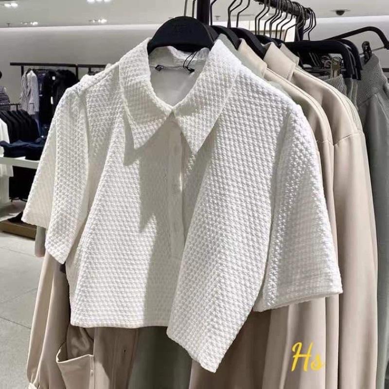 Áo croptop cổ bẻ chất tổ ong HS6