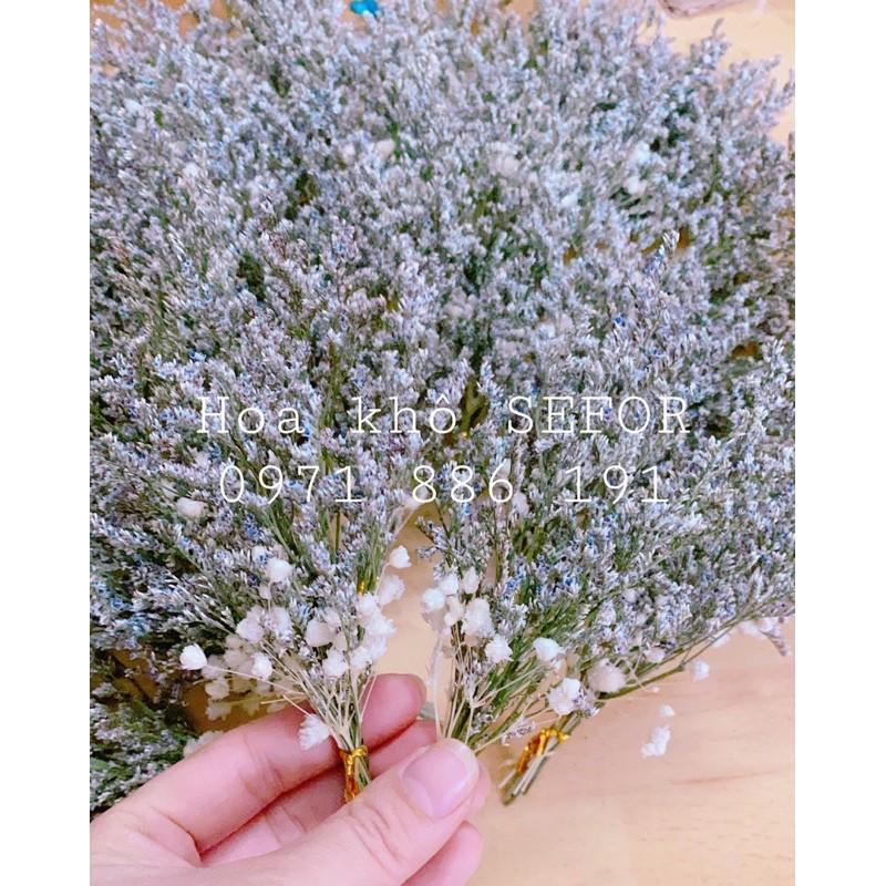️️ Bó hoa khô mini trang trí, chụp ảnh sản phẩm