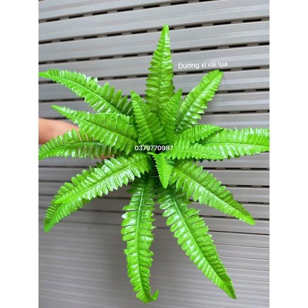 Cụm lá cắm tường cây, Hộp cây trang trí