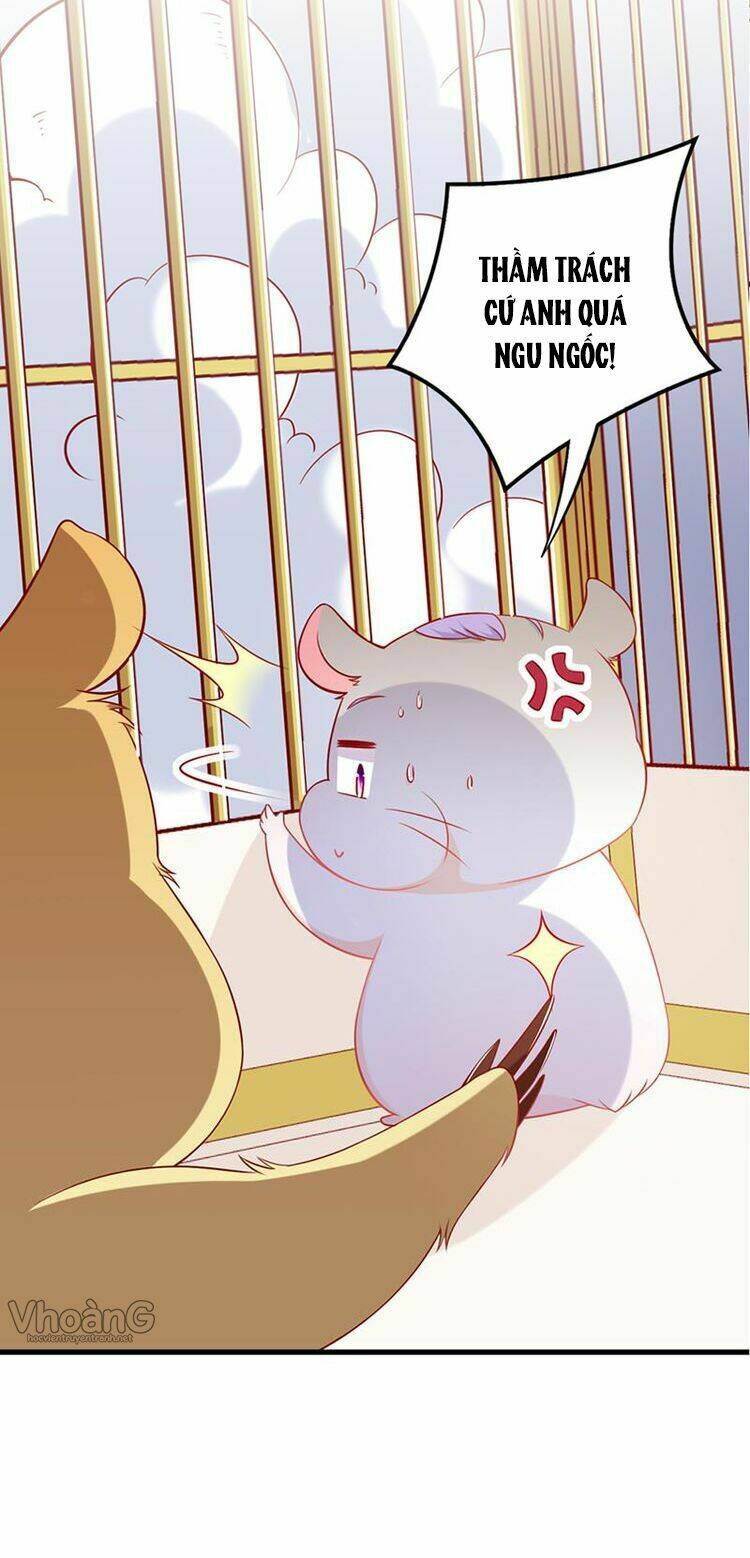 kế ước ngọt sủng:quốc dân lão công đích tiểu chiếm giữ thử chapter 3 14