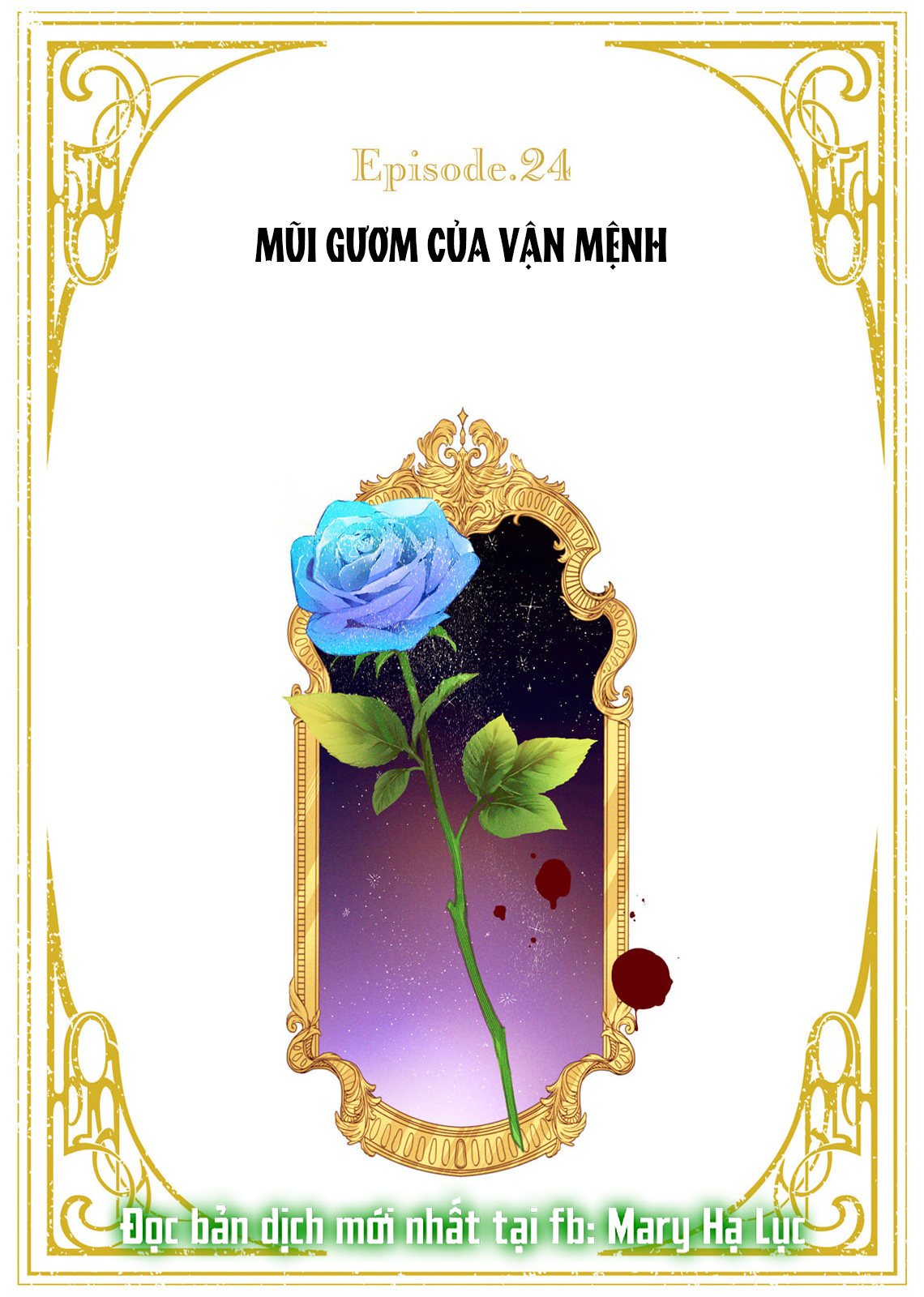 Sao Băng Ẩn Trong Hoa chapter 24.1 2