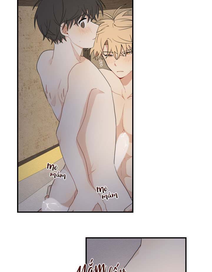 đường hoa liên kiều rơi chapter 15 67