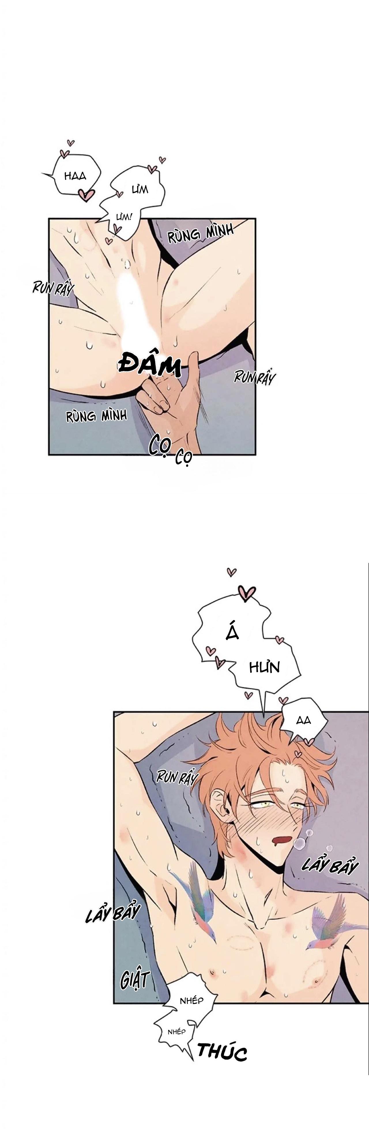 bona sort chapter 20 2