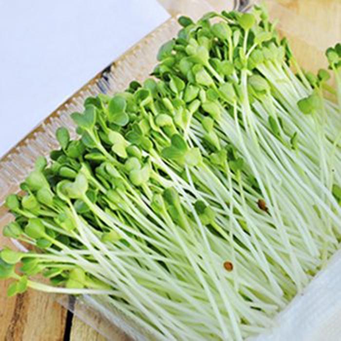 Hạt giống Mầm củ cải trắng–Gói 50gram