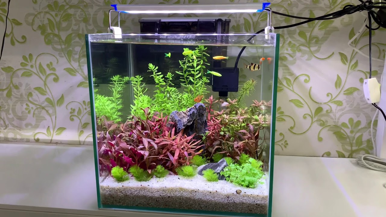 Máy lọc nước bể cá Vipsun Fish AP 303H - 5W 300l/h- Lọc thác, có lọc váng, hoạt động êm ái, Dùng cho hồ 40cm trở xuống.
