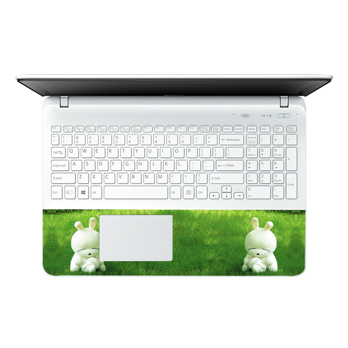 Mẫu Dán Decal Laptop Logo LTNT-254