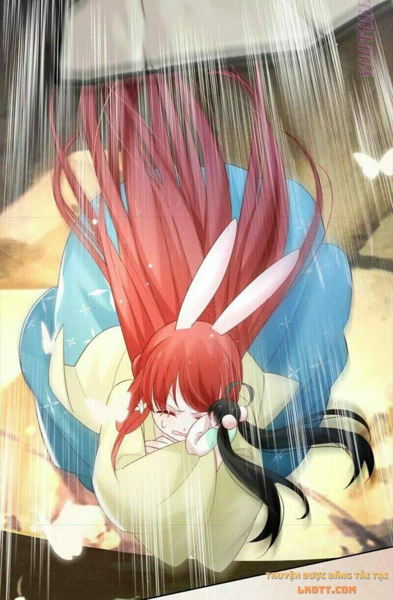 hắc hóa nam chính trực tuyến nuôi thỏ chapter 54 33