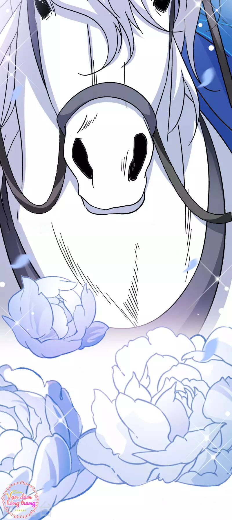 cô ấy đến rồi, xin nằm xuống! chapter 236 49