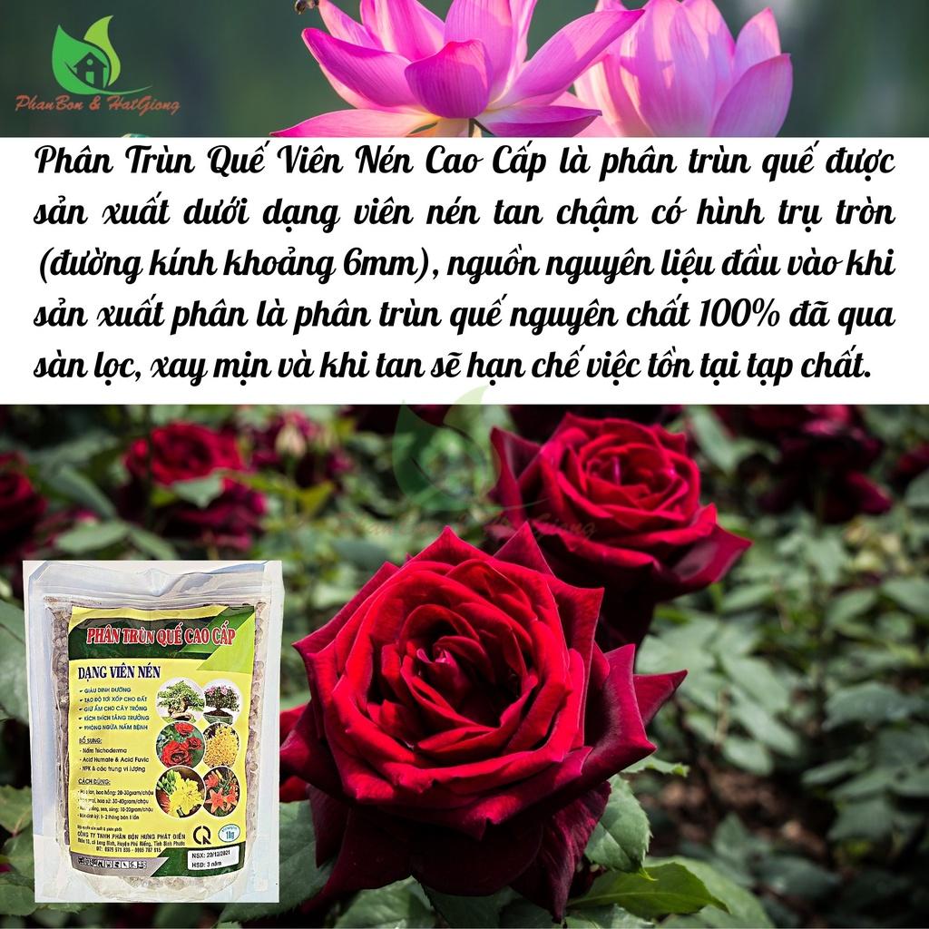 Phân Bón Trùn Quế Nén 1Kg HPD Cao Cấp Phân Bón Hữu Cơ Chuyên Cho Lan Và Cây Kiểng