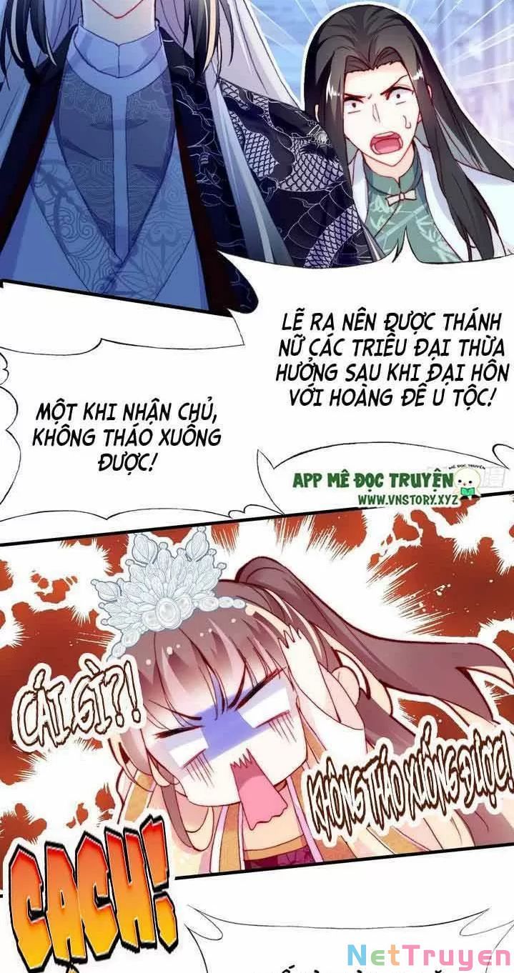 lại bị bệnh chiều chuộng quấn lấy chapter 10 14