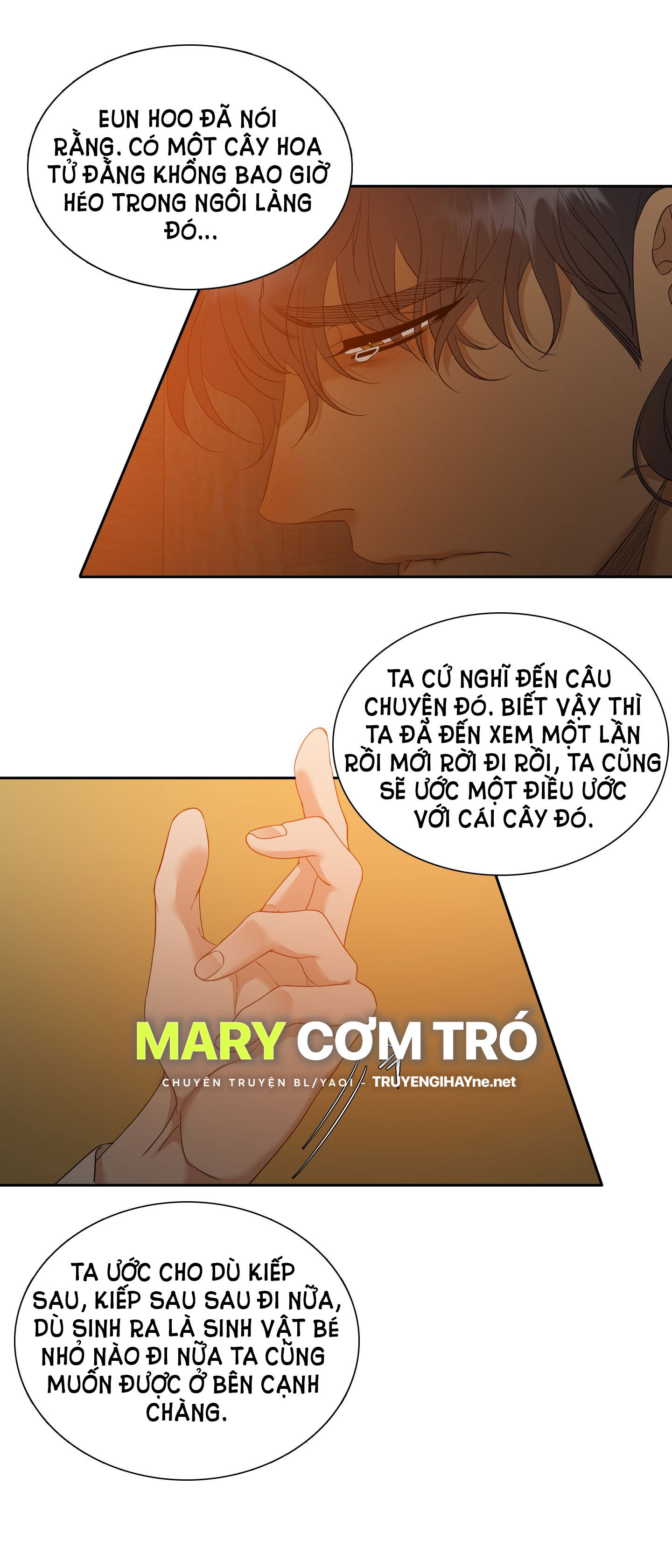 mắt phủ toàn sương chapter 73.2 11