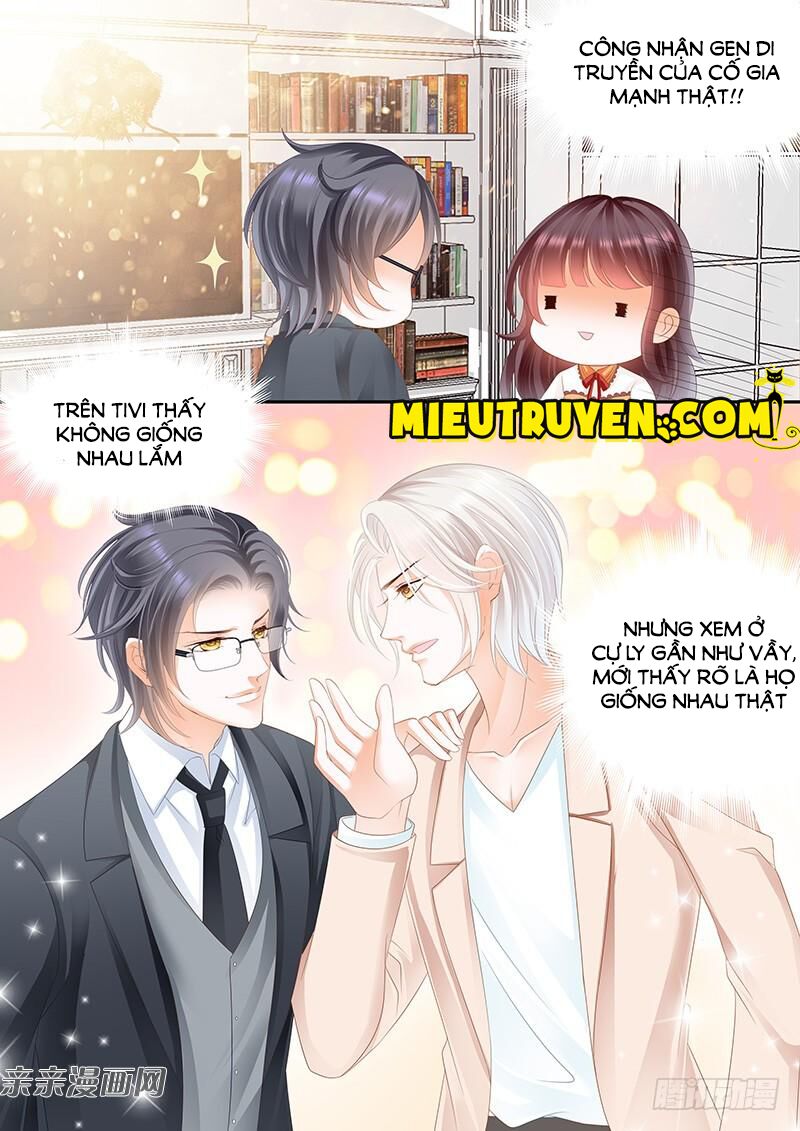 lóe thiểm hôn kiều thê mơ tưởng trốn chapter 60 3