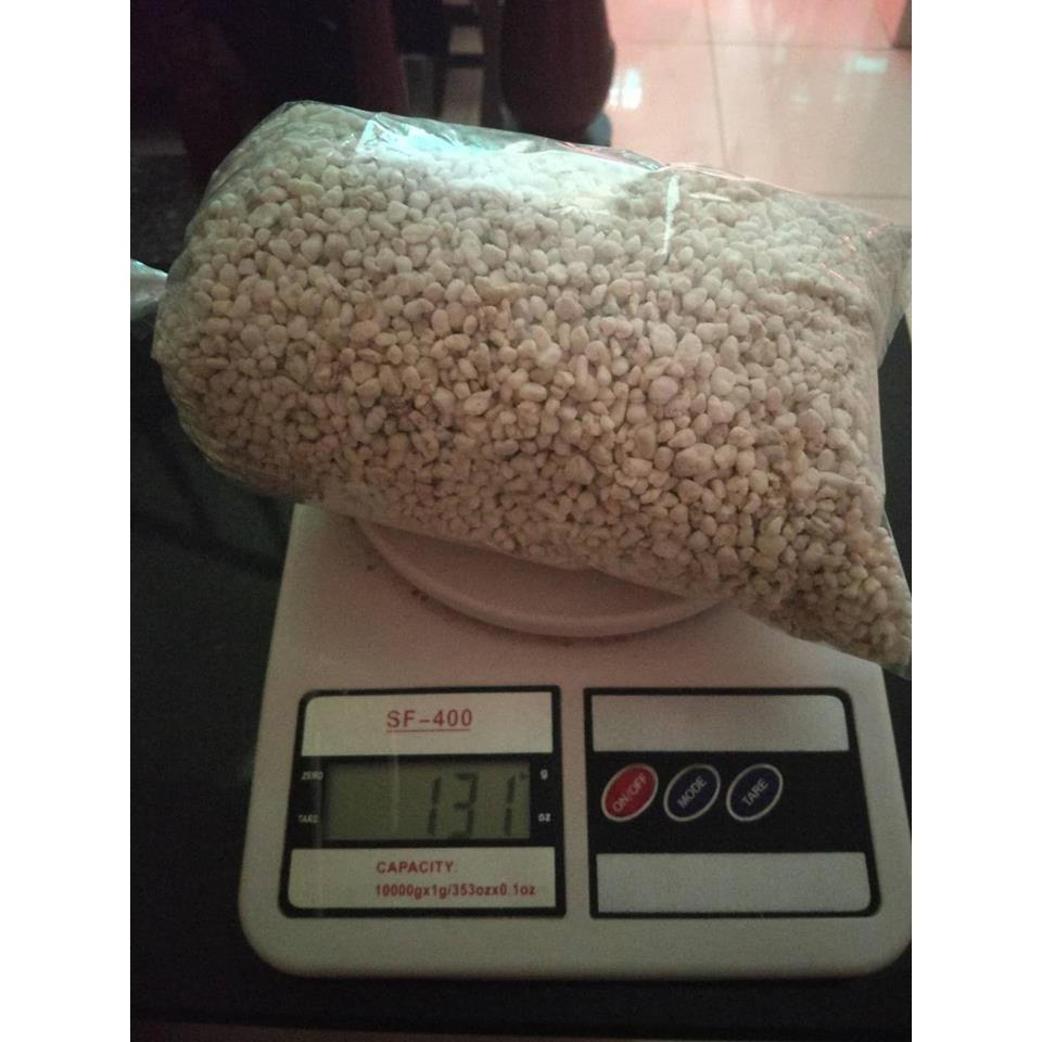 Đá Trân Châu Trồng Cây_ 100gr