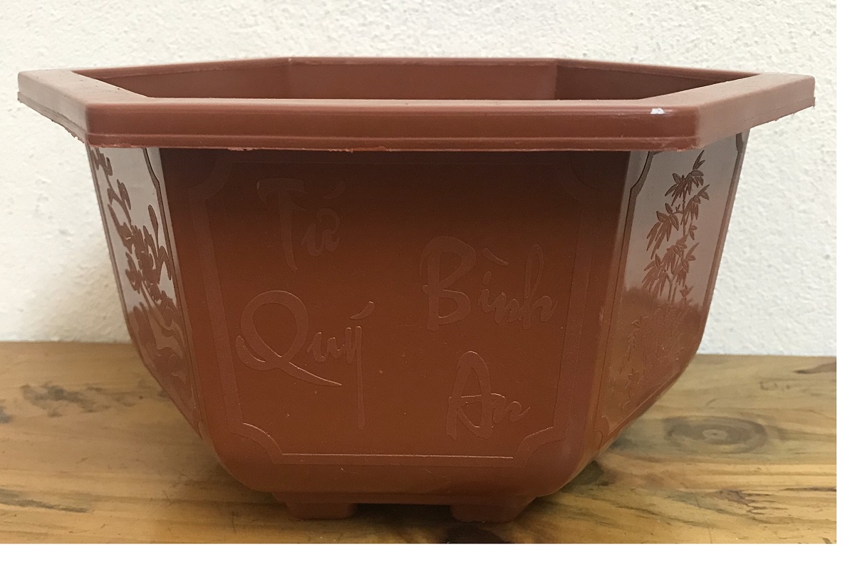 2 Châu Nhựa Bonsai Lục Giác Bình Thuận 250x150 Trồng Hoa, Cây Cảnh