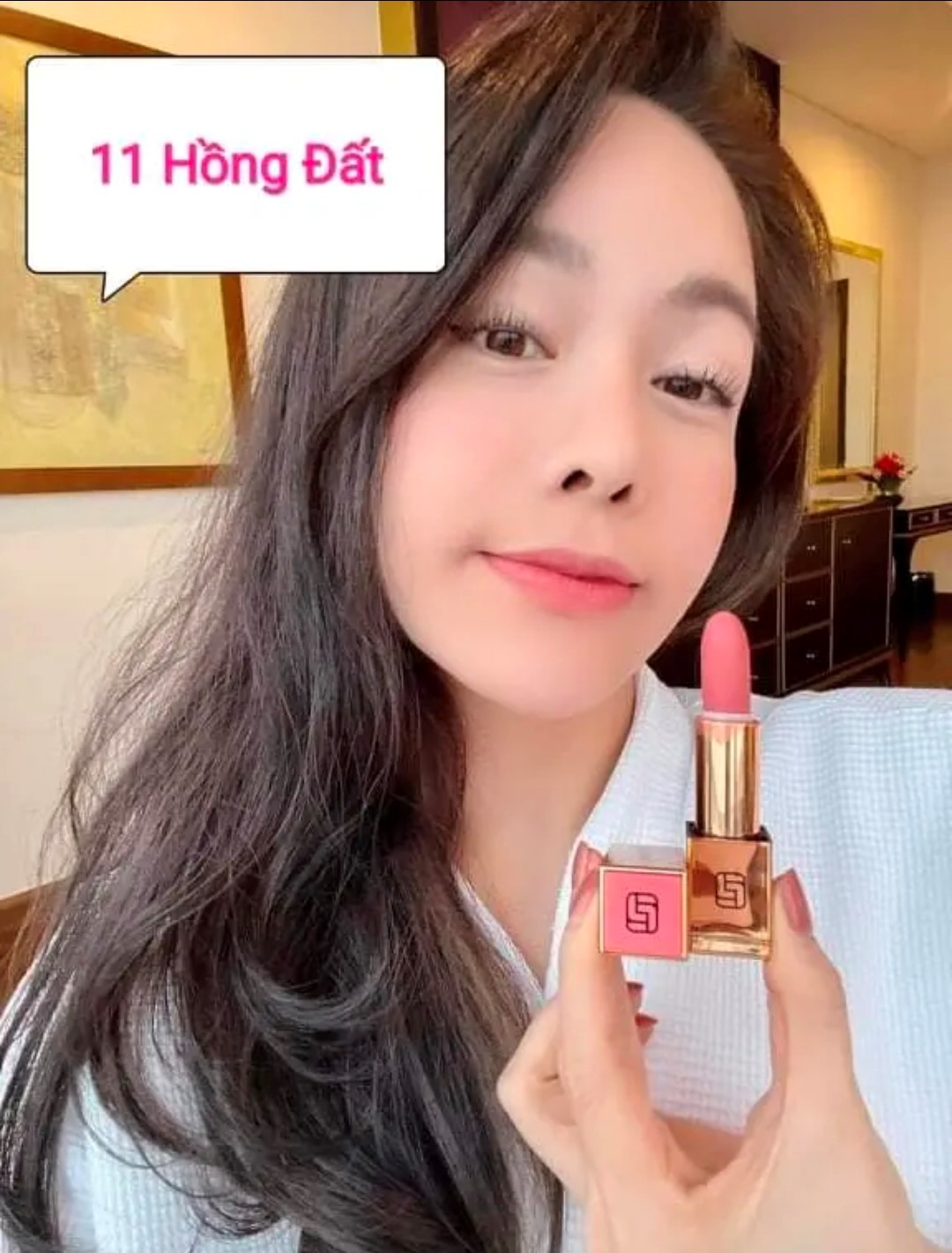 No.11 - Màu hồng đất - Son lì siêu mịn cao cấp Hàn Quốc - Golden Velvet Lipstick - Laura Sunshine - Nhật Kim Anh