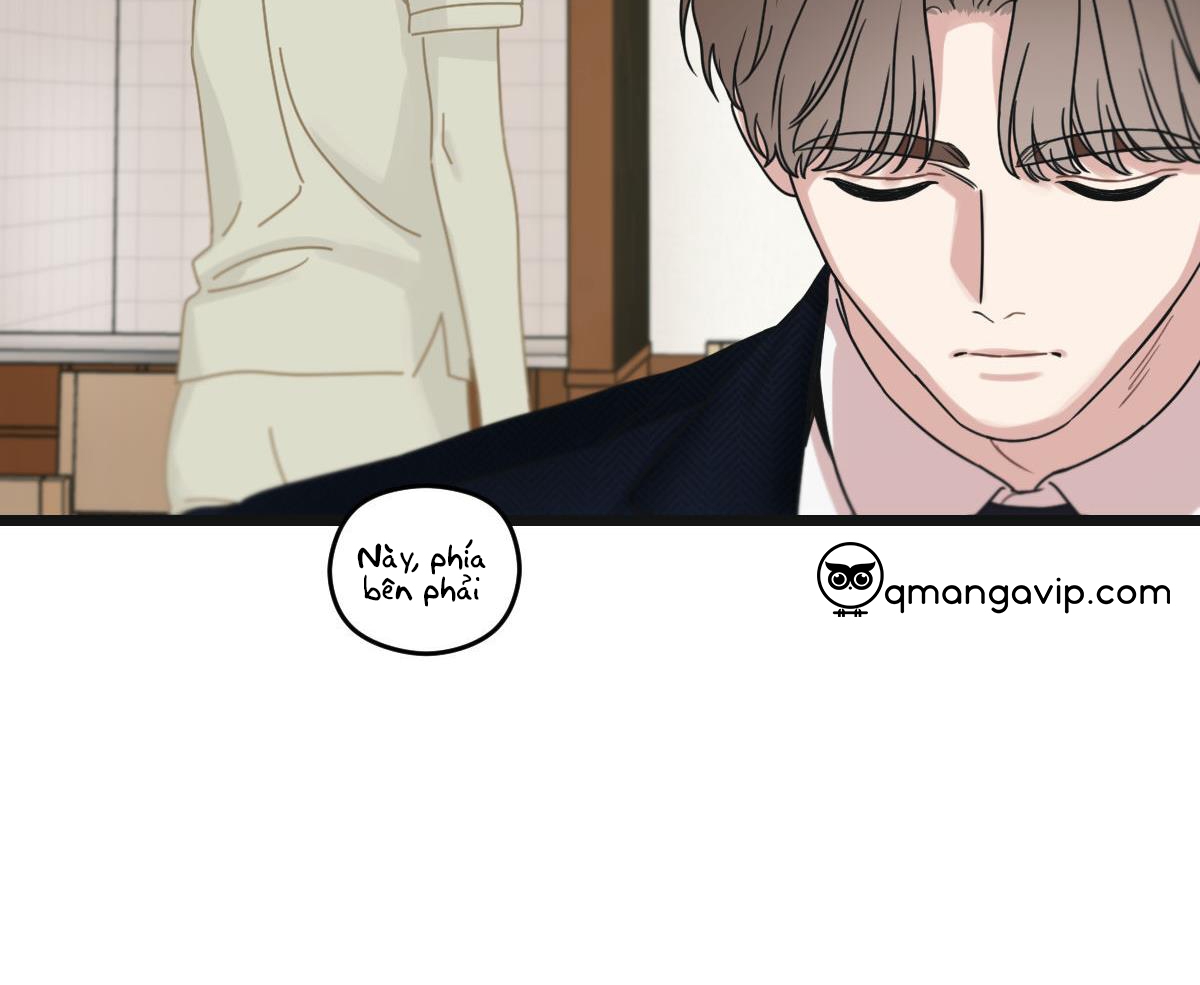 tương phùng chapter 36 41