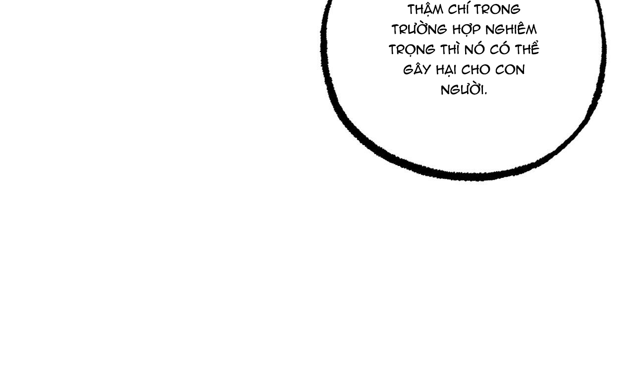 đàn thỏ của habibi chapter 34 161