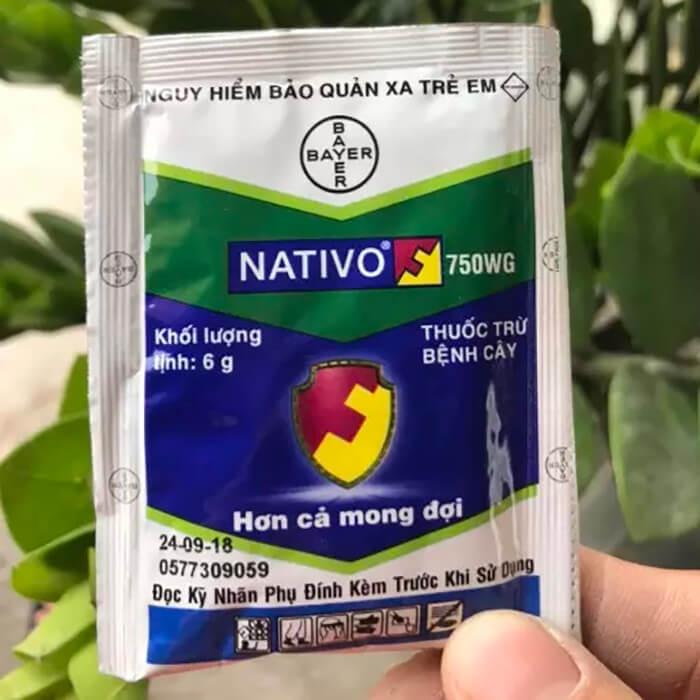 Thuốc Trừ Nấm Bệnh Cây Trồng Nativo 750WG gói 6g